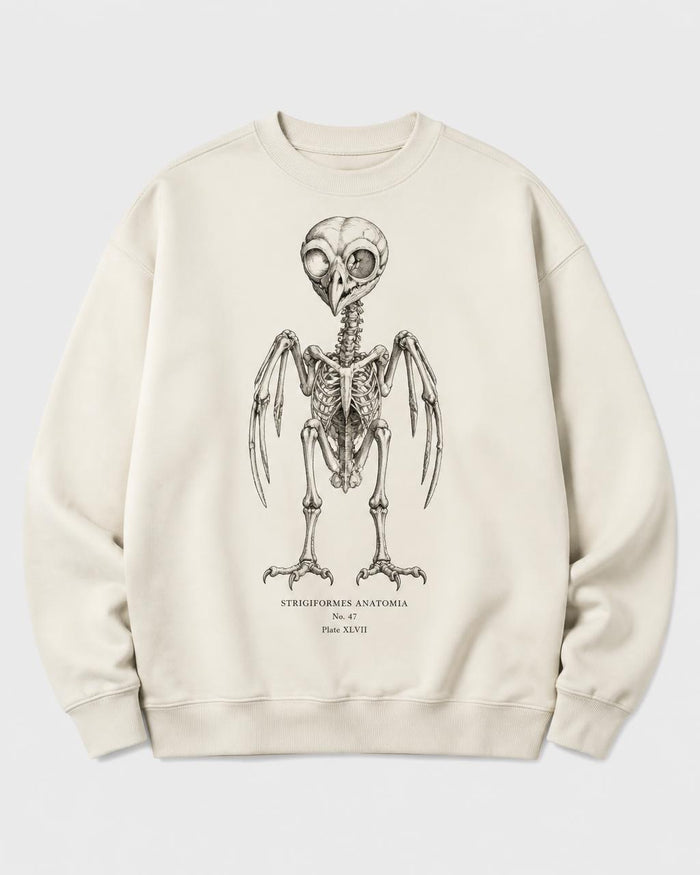 Night Owl Bone Feather Oversized Sweatshirt — Bone