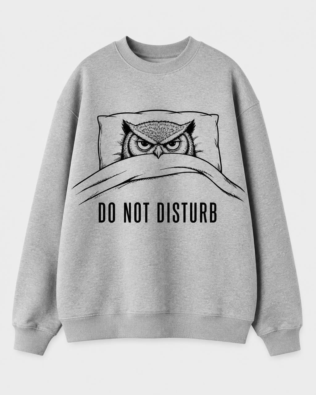 Night Owl Do Not Disturb Oversized Sweatshirt — Heather Grey